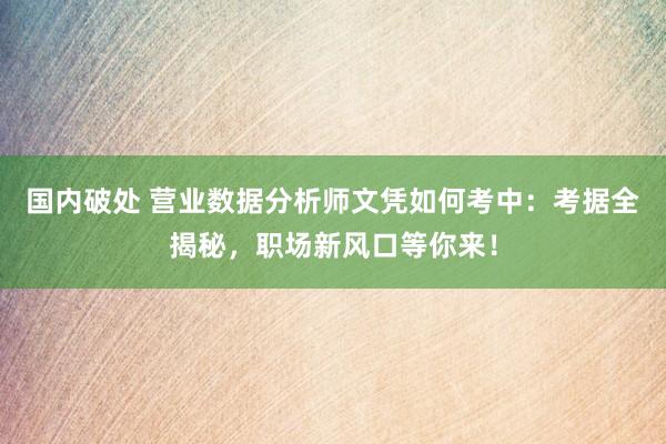 国内破处 营业数据分析师文凭如何考中：考据全揭秘，职场新风口等你来！