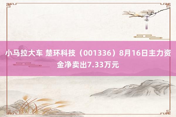 小马拉大车 楚环科技（001336）8月16日主力资金净卖出7.33万元