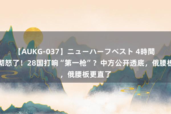 【AUKG-037】ニューハーフベスト 4時間 普京透彻怒了！28国打响“第一枪”？中方公开透底，俄腰板更直了