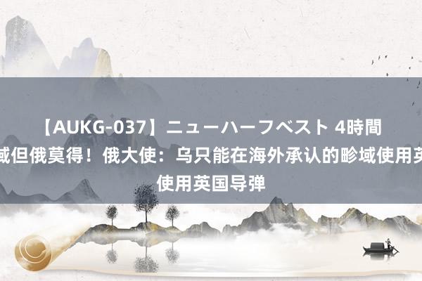 【AUKG-037】ニューハーフベスト 4時間 虚伪畛域但俄莫得！俄大使：乌只能在海外承认的畛域使用英国导弹