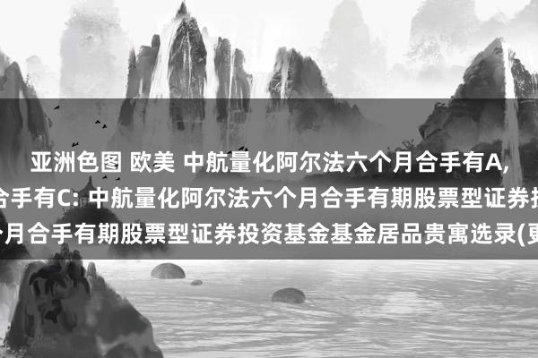 亚洲色图 欧美 中航量化阿尔法六个月合手有A，中航量化阿尔法六个月合手有C: 中航量化阿尔法六个月合手有期股票型证券投资基金基金居品贵寓选录(更新)