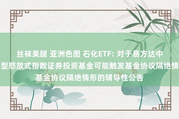 丝袜美腿 亚洲色图 石化ETF: 对于易方达中证石化产业往还型怒放式指数证券投资基金可能触发基金协议隔绝情形的辅导性公告