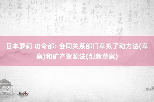 日本萝莉 功令部: 会同关系部门草拟了动力法(草案)和矿产资源法(创新草案)