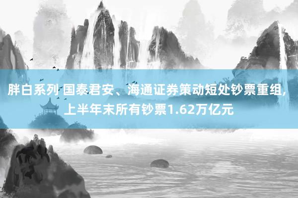 胖白系列 国泰君安、海通证券策动短处钞票重组， 上半年末所有钞票1.62万亿元