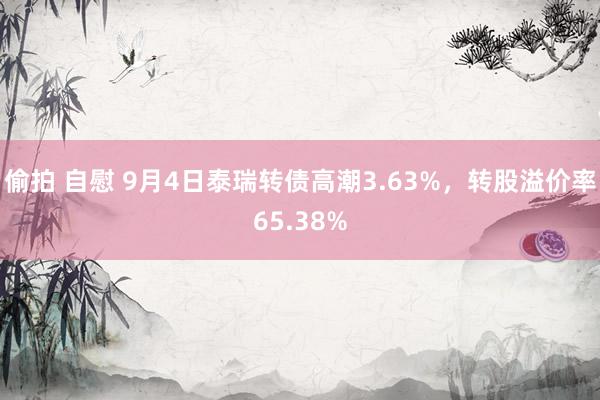 偷拍 自慰 9月4日泰瑞转债高潮3.63%，转股溢价率65.38%