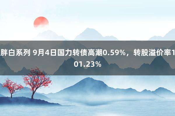 胖白系列 9月4日国力转债高潮0.59%，转股溢价率101.23%