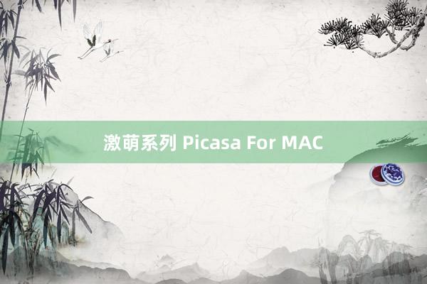 激萌系列 Picasa For MAC