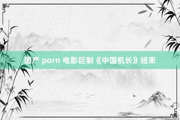 国产 porn 电影巨制《中国机长》结束