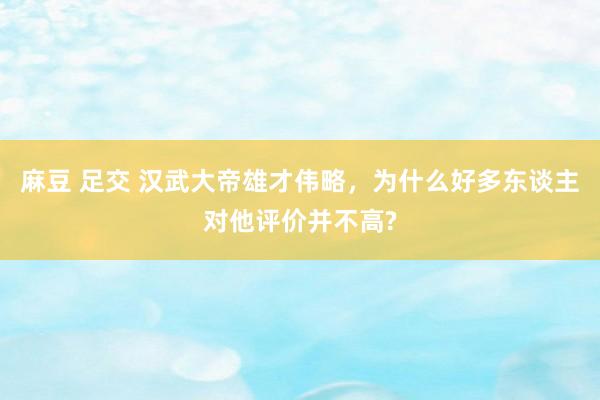 麻豆 足交 汉武大帝雄才伟略，为什么好多东谈主对他评价并不高?